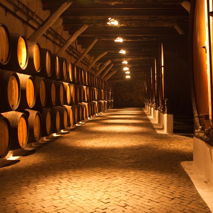 barrels at a winery